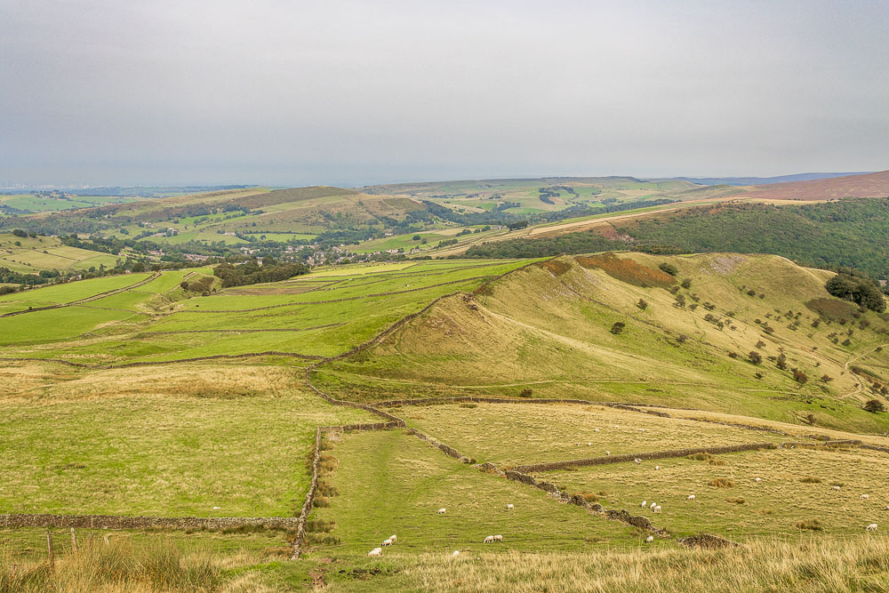 Cown Edge